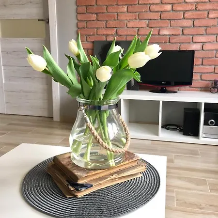 Uroczy Apartament W Gizycku Giżycko Eksteriør bilde